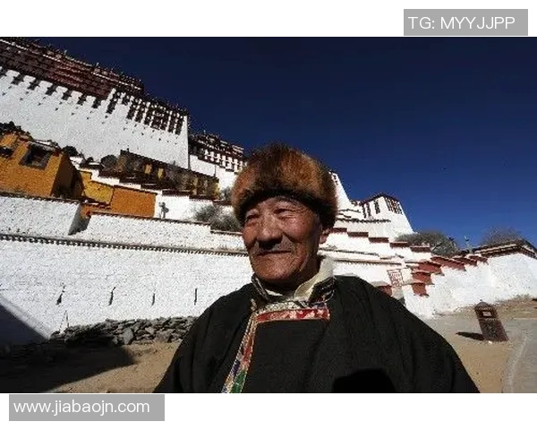 选举制度改革与民主发展：全球视野下的经验与挑战分析