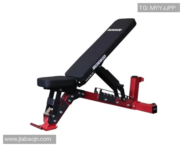 家用健身器材选购建议及不同功能设备推荐 家用健身器材选购建议及不同功能设备推荐