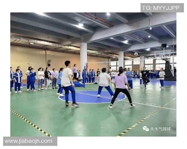 深入分析上海排球队的节奏打法与战术特点探讨